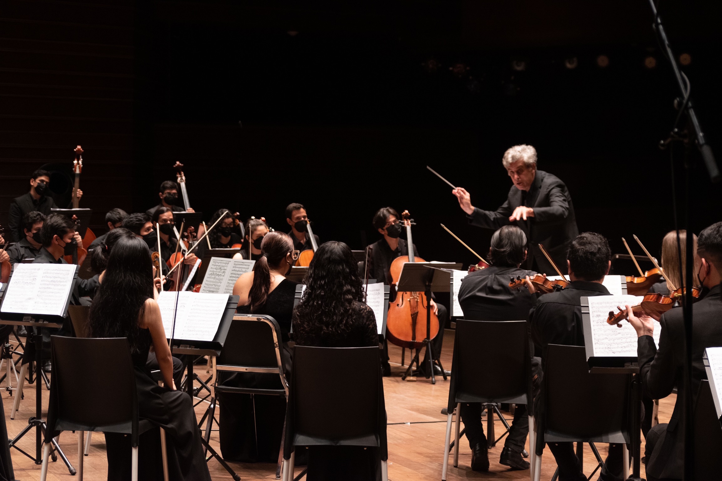 Orquesta Sinfónica Nacional Juvenil Bicentenario presenta función especial dedicada a Wagner & Strauss