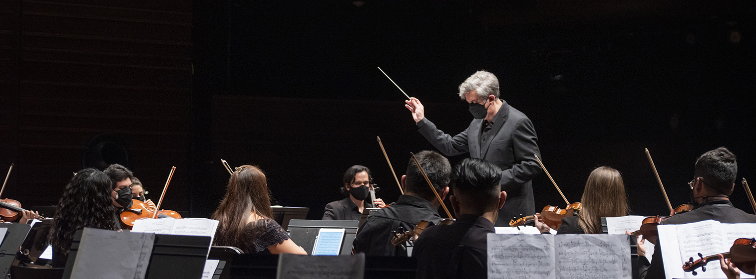 Wagner & Strauss: De penas y alegrías