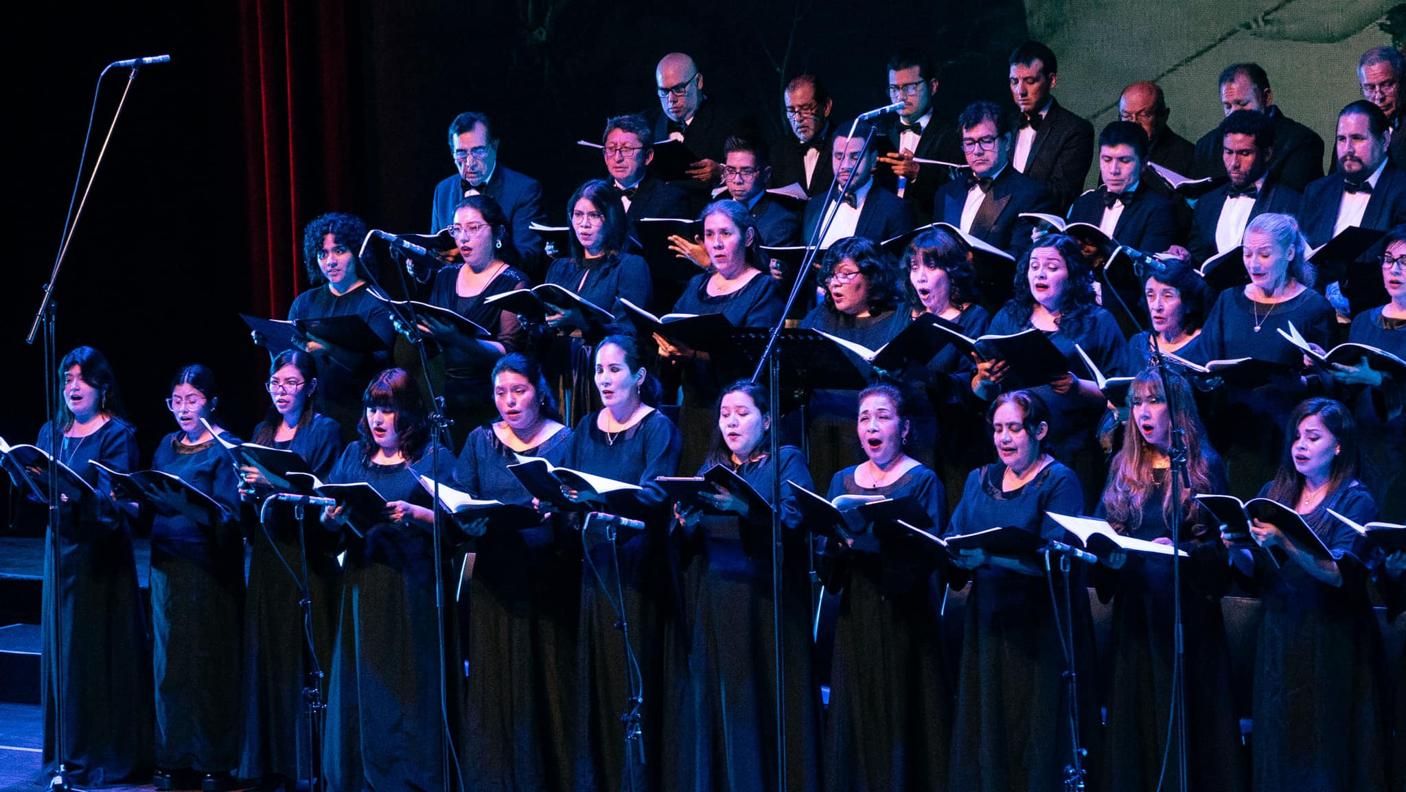 Concierto de Semana Santa: Bach y Haydn