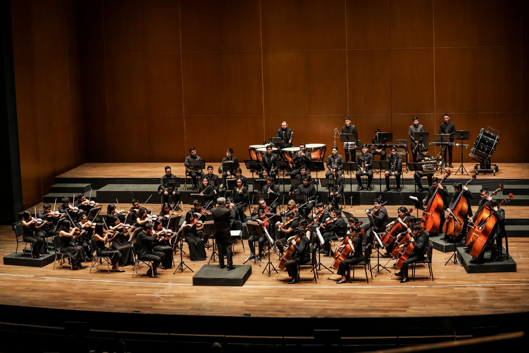 "Las nueve sinfonías de Beethoven" - Sinfonía 9,